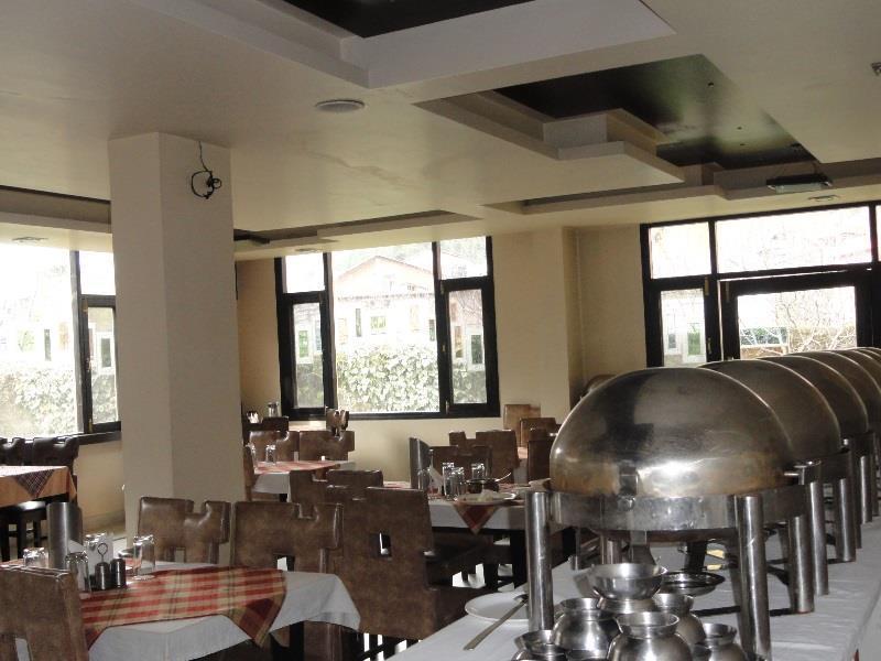 Hotel Park Paradise Manali Manāli Zewnętrze zdjęcie
